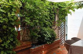 Casa de la Portuguesa, bonita terraza con barbacoa - Foto 1