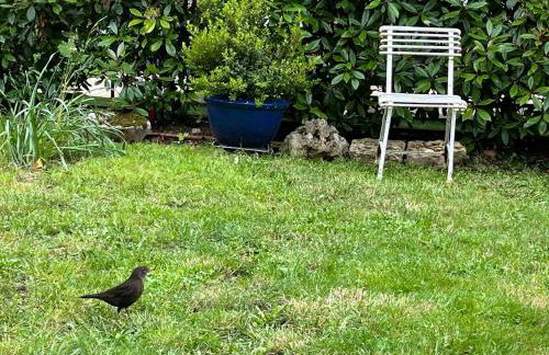 L'Atelier d'Olga - Homillesime - Foto 36