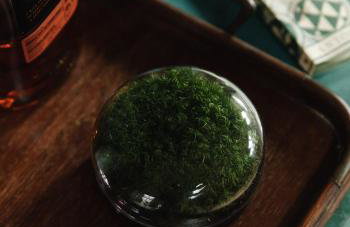 Spinks Nest - a boutique cottage near Holt, North Norfolk - Foto 14