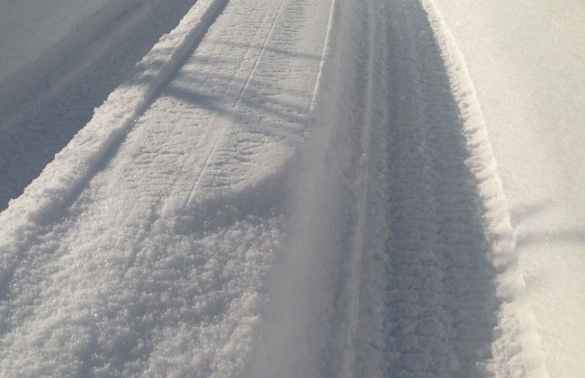 Kraeuterhof-Ferienwohnung - Photo 16