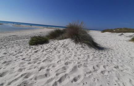 MORF - soulful suites - Foto 57