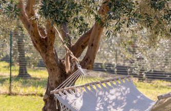 La casa di Ernino - Foto 23