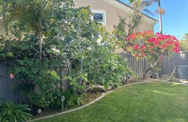 Luxe Family Villa ,116 inch Theater, Yard , Near Beaches - Photo 43
