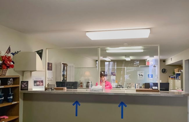 Lakewood Resort 1 Bedroom Condo 204 - Photo 2