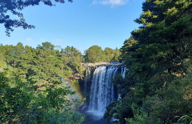 Kerikeri Park Lodge - Foto 71