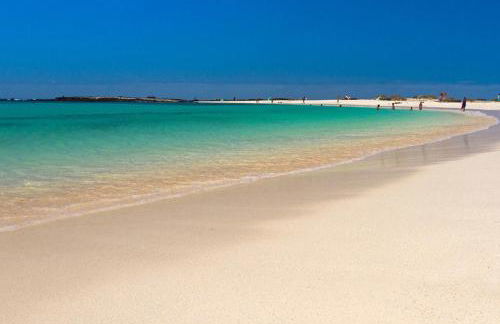 VISTAMALPEI - Foto 51