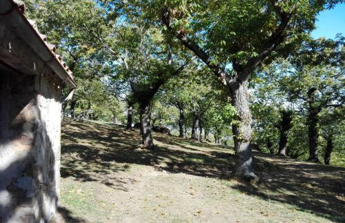 HOME L'UPUPA AMIATA - Foto 38