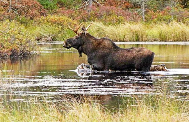 4 Person Holiday Home in Solvesborg-by Traum - Photo 9