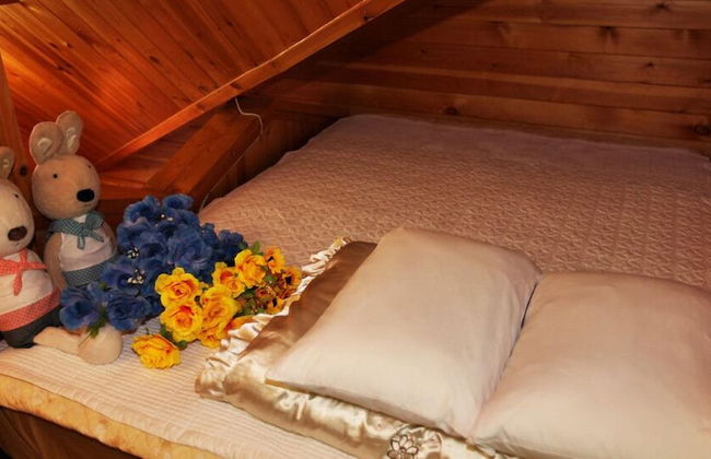 Muju Naos Pension - Photo 8