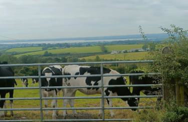 'Cosy Gem' Cabin Woodland Retreat Randalstown NI - Foto 27