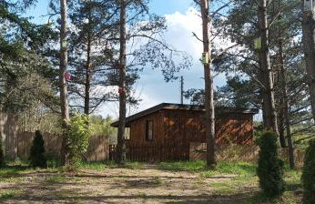 Zielenina Leśny Domek - Foto 27