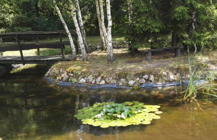 Siedlisko Gruszki Puszcza Białowieska - Foto 60