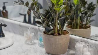 Brand New/ATV Trailer Parking/ 5 min to Miguel's - Foto 3