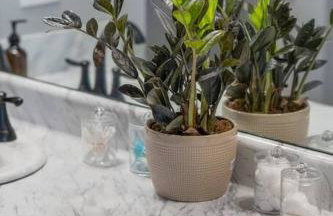 Brand New/ATV Trailer Parking/ 5 min to Miguel's - Foto 3