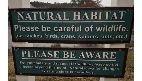 Cardinal vacations - Foto 5