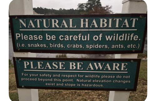 Cardinal vacations - Foto 5