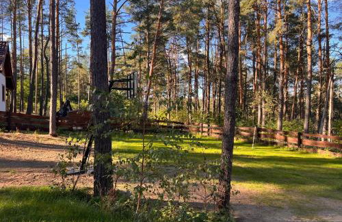 Domek wypoczynkowy Sosenka z sauną i jacuzzi - Foto 19