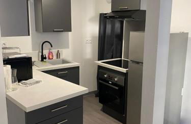 2 pièces parking, plein centre au calme climatisé - Foto 6