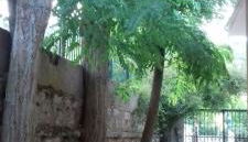 Karya House - Photo 4