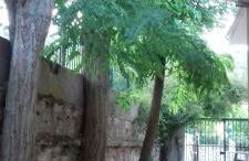 Karya House - Photo 4