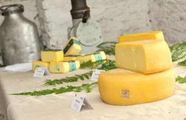 GrappaLand - Foto 53