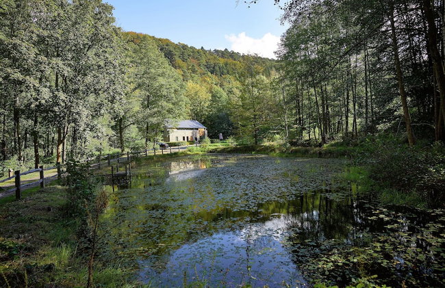 Jalhay Pondside Forest Home - Foto 36