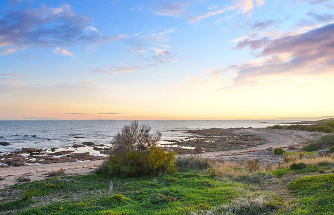 High Tide on Palmer - Pet Friendly - Foto 21