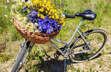 Domki Kaktus - Foto 25