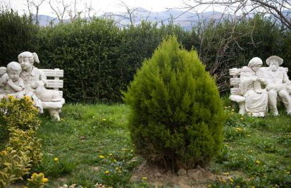 Casa Rural Arratzain - Foto 11