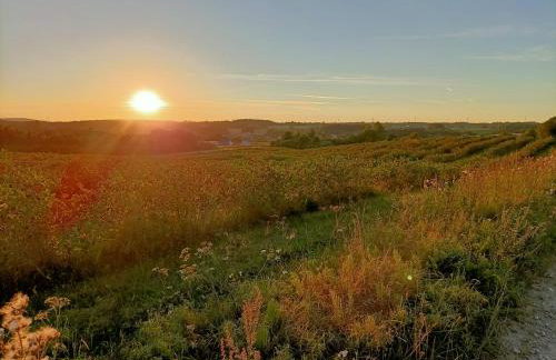 Siedlisko Dwa Żurawie - Uroczy domek nad stawem, z kominkiem, obok konie - Foto 15