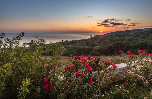 Yiameli Villas with Private Pool - Foto 25