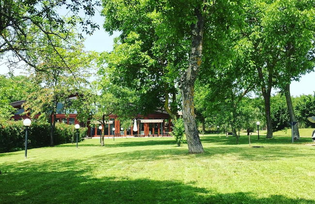 Hotel Il Ciliegio - Foto 22