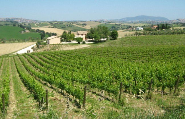 I Tre Filari - Foto 19