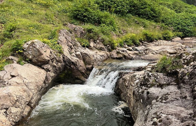 Ny Çambaşı - Foto 73