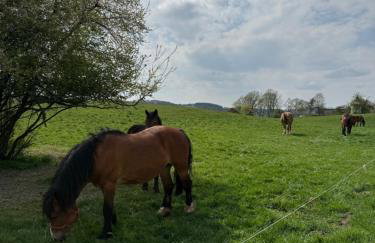 Domek na Kaszubach - Pierszczewo - Foto 23