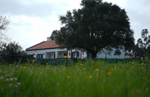 HERDADE PALMA t2 - Foto 41