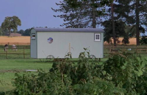 Starry Meadow & Rescued Animal Experiences - Foto 86