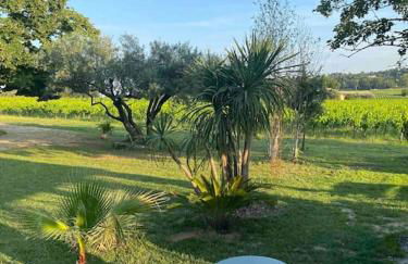 L'annexe de L' Bergerie - L’ Ardèche - Via Rhona - Foto 18