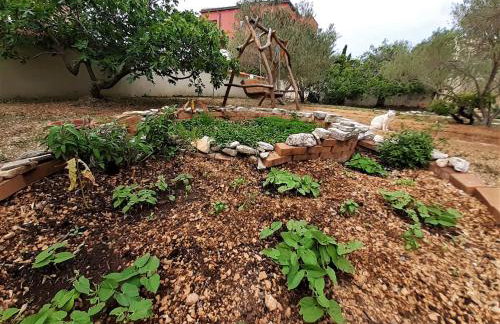 Apartmani Milena - Foto 57