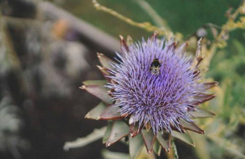 Garden Cottage, Fochabers - Foto 26