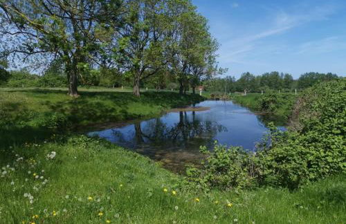 Gutshaus Thorstorf FeWo Poel - Foto 16