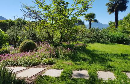 Hotel Gartenresidence Zea Curtis - Foto 43