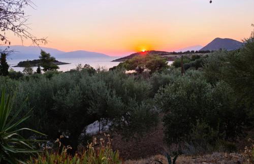 Greece - holidays & long stays - 2 Vilas - Photo 36