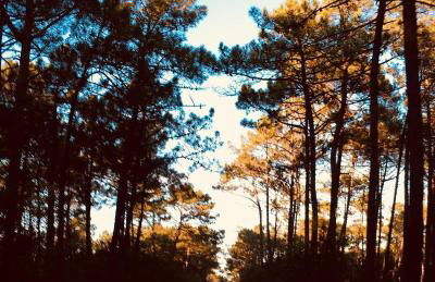 casadaeiradeangeja - Foto 18