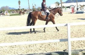 Chalet OLIVA NOVA - Photo 31