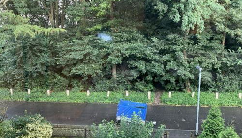 Am Nordglacis - Foto 5