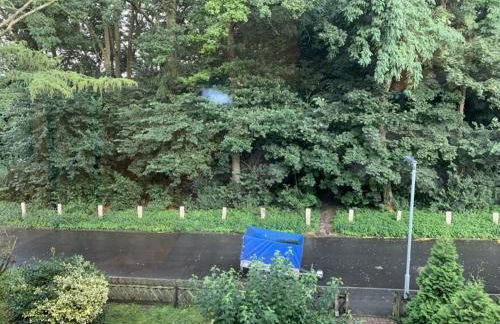 Am Nordglacis - Foto 5