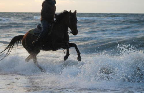 Geräumige Ferienwohnung mit Garten in Brusow - Foto 22