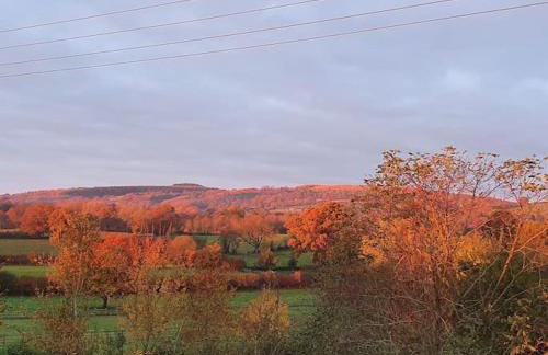 Delightful Country Cottage in a lovely rural area - Foto 30