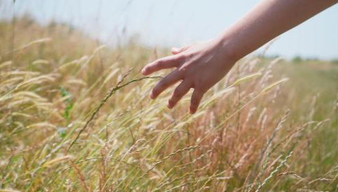 Chapter Farm Cottages - Foto 5